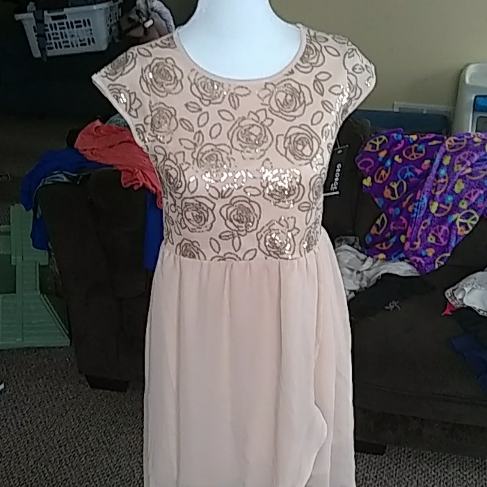 NWT Champagne sequined-rose dress